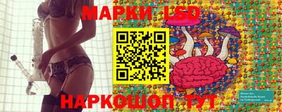 индика Будённовск