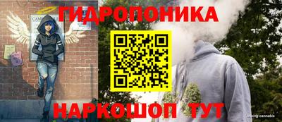 индика Будённовск