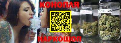 индика Будённовск